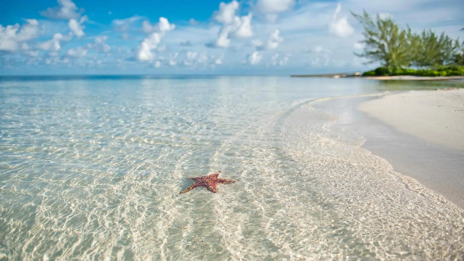 Colonial Kai Condo Driftwood Village 0*,  Cayman Islands